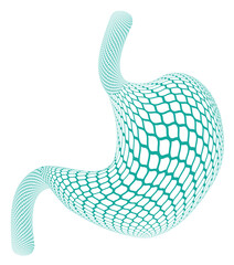 Human stomach mesh shaped 3D icon