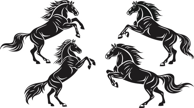 Majestic black horses rearing, showcasing strength and grace. The image captures the powerful stance of horses