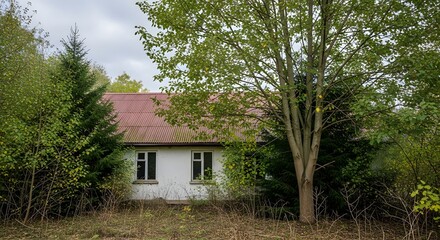 Abandoned white cottage with red roof surrounded by dense green foliage and overgrown vegetation abandoned house