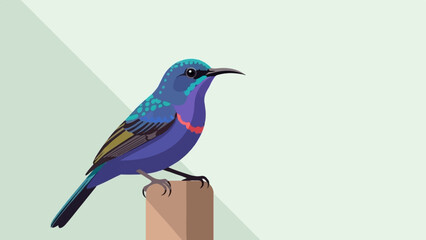 Obraz premium Vibrant blue and purple bird perched on a wooden post