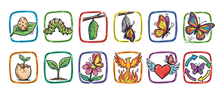 Colorful set of hand-drawn icons illustrating transformation, growth, and metamorphosis with a butterfly life cycle, phoenix, and winged heart in a vibrant doodle style