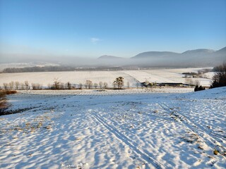 winter agricultural landscape