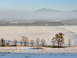 winter agricultural landscape