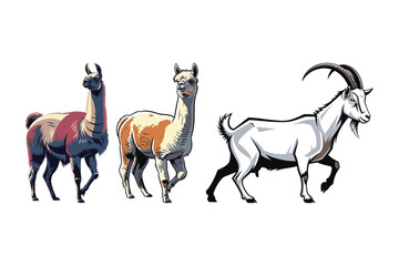 Obraz premium Llamas and Goat Illustration Walking Together