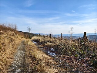 mountain road with withered grass