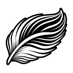 Obraz premium Bird Feather Glyph Style Icons