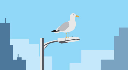 A seagull perched on a street lamp post with a Laridae camar in the cityscape