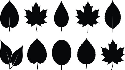Obraz premium Leaf silhouette set, botanical shapes, foliage outline, black vector leaves, nature design, plant elements, isolated leaf icons, organic illustration
