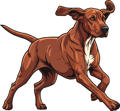 Redbone Coonhound dog running energetic athletic movement