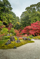 Obraz premium Konkai Komyo Ji temple in autumn/fall/koyo in Kyoto