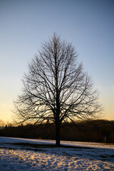 Fototapeta premium sunset landscape