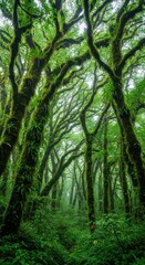 Fototapeta premium An immersive view into a deep tropical jungle. Towering trees covered in thick moss and epiphytes create a dense, humid, lush canopy environment, vine, green, moss