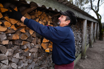 A man carries firewood in his arms. Chopped firewood. Rural housework