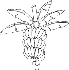 Vintage floral art drawing featuring a seamless pattern of a rose and lily bouquet alongside a black sketch vector illustration of a bunch of bananas