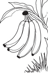 Hand drawn black ink sketch of a fresh banana fruit and nature plant leaf in a tribal tattoo art style vector illustration for healthy food pattern design