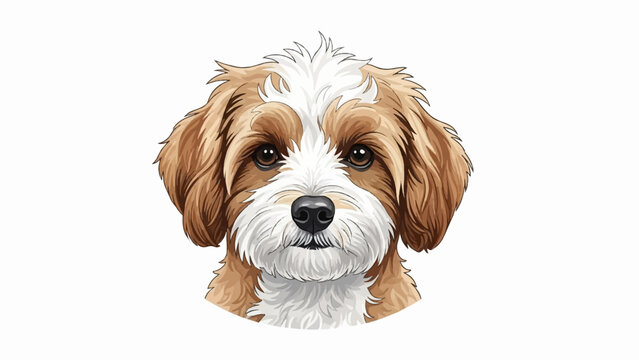 Close-up illustration of a fluffy dog's face with brown and white fur