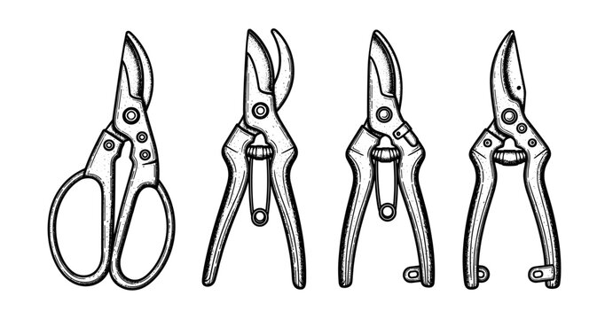 Set of hand drawn gardening pruners and scissors in black and white illustration