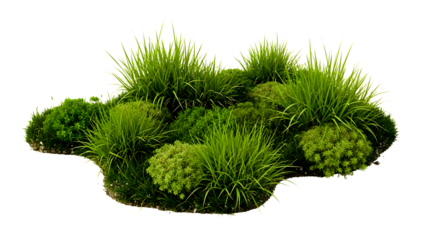 A vibrant green patch of grass and moss isolated on a solid black background