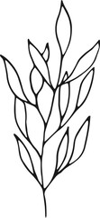 Elegant flowers minimalist drawing