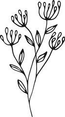 Elegant flowers minimalist drawing