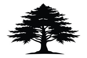 Fototapeta premium cedar silhouette line art vector illustration with a white background