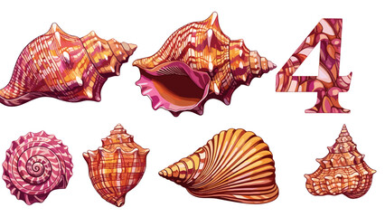 Obraz premium Collection of colorful seashells with various shapes and textures