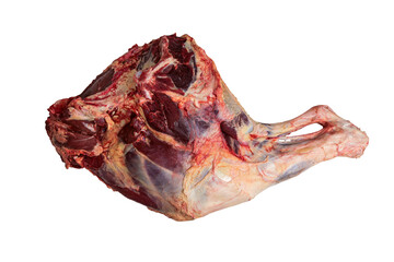 fresh beef thigh on a white background