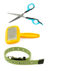 Pet care accessories set with scissors, brush, and dog collar.