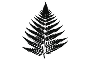 Obraz premium fern leaf silhouette line art vector illustration with a white background
