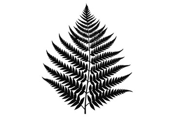 fern leaf silhouette line art vector illustration with a white background © pipp99