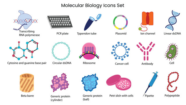 Molecular Biology Science Icons Collection Flat Illustration Vector