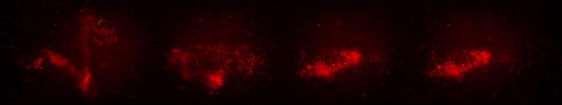 abstract red background with particles | widescreen | looped animation