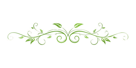 Obraz premium Soft Green Botanical Decorative Divider Line