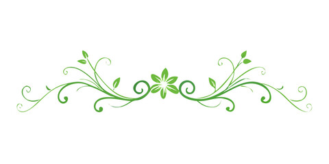 Obraz premium Green Floral Ornamental Decorative Divider Line