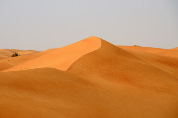 Dunas de arena en el desierto de Dubai, Emiratos Arabes Unidos