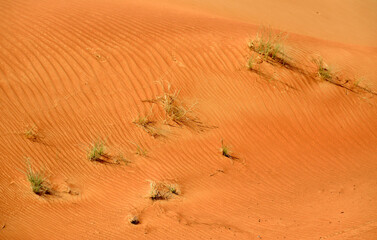 Obraz premium Dunas de arena en el desierto de Dubai, Emiratos Arabes Unidos