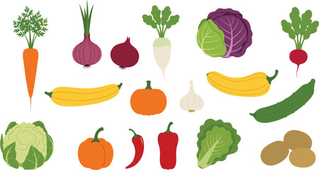 Fototapeta premium Large collection of fresh organic vegetables including carrot onion cabbage pumpkin garlic pepper lettuce potato and cucumber isolated on white background flat vector
