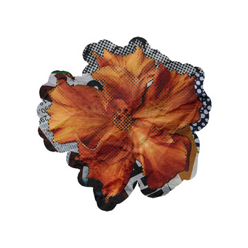 Template Orange Hibiscus Flower Collage Art Design Element