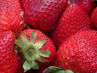 Gros plan de fraises rouges fra&icirc;ches et m&ucirc;res avec feuilles vertes.
