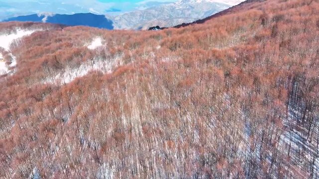 Albania Gjinar mountain Bukanik in winter resort tourism