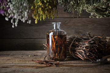 Traditional herbal medicine preparation with a glass bottle of swamp cinquefoil tincture and raw...