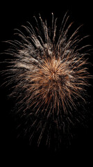 Obraz premium Fireworks burst in night sky during celebration event
