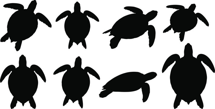 Sea Turtle Silhouette Collection Featuring Eight Unique Swimming Poses from Top View for Marine Life and Design Themes