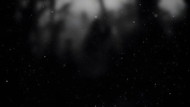 A blurry black and white image with a dark background and light streaks