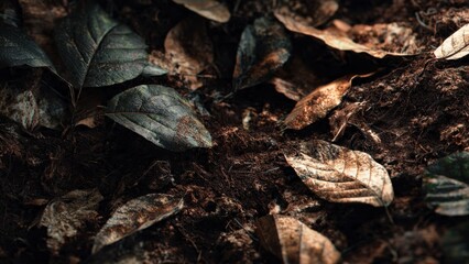 Naklejka premium Forest floor with leaves in earthy tones