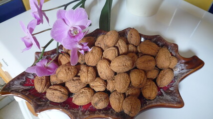 walnuts and orchid flowers 