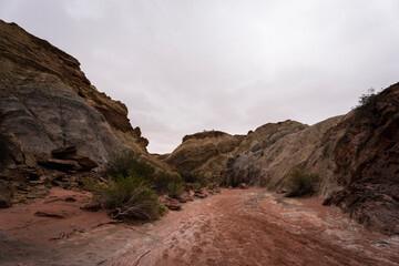 Obraz premium Cañón Arcoiris in Talampaya National Park, La Rioja, Argentina, showcasing vividly colored rock layers formed by ancient sedimentation and erosion in an arid desert landscape.