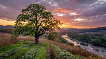 casting a warm glow over the landscape.
