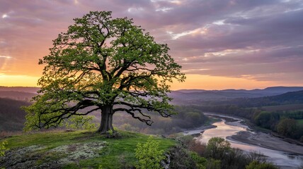 casting a warm glow over the landscape.