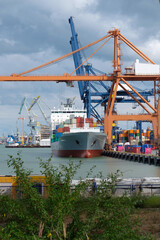 Gdynia port cranes and container terminal with trucks, Poland